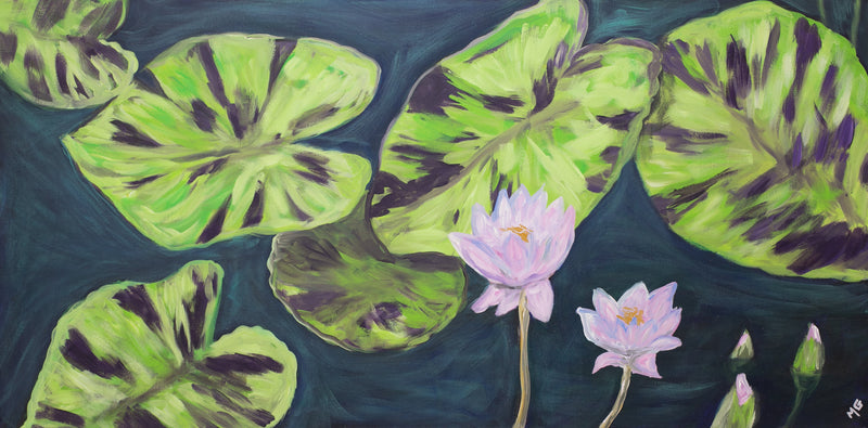 Water Lilies