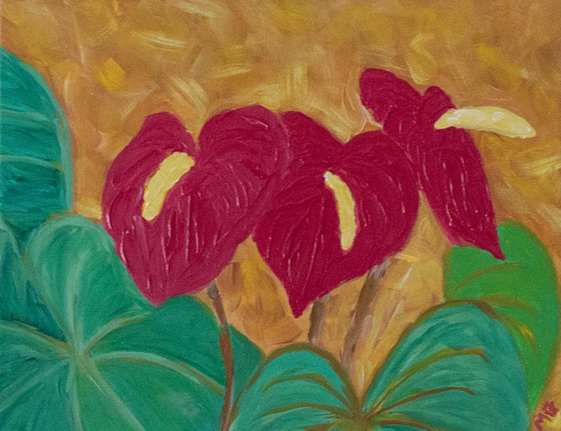 Three Anthurium